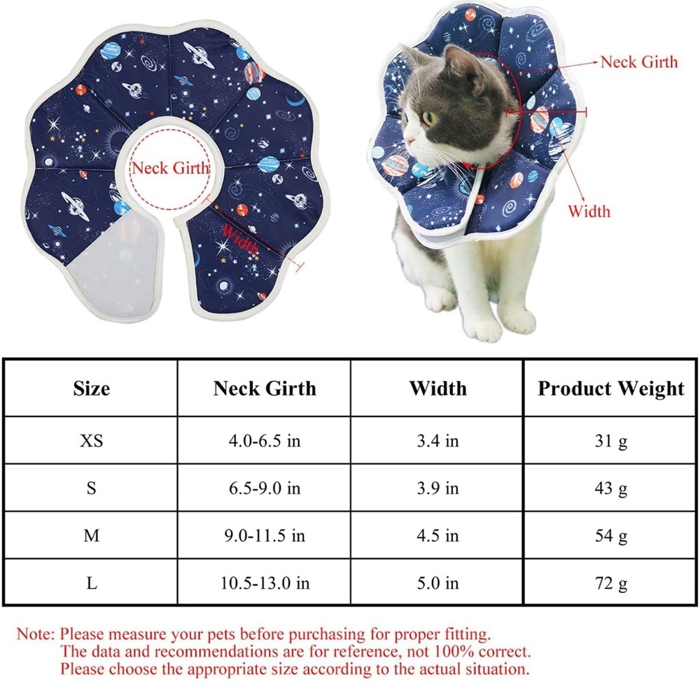 Cat cone - Picture 3 of 5